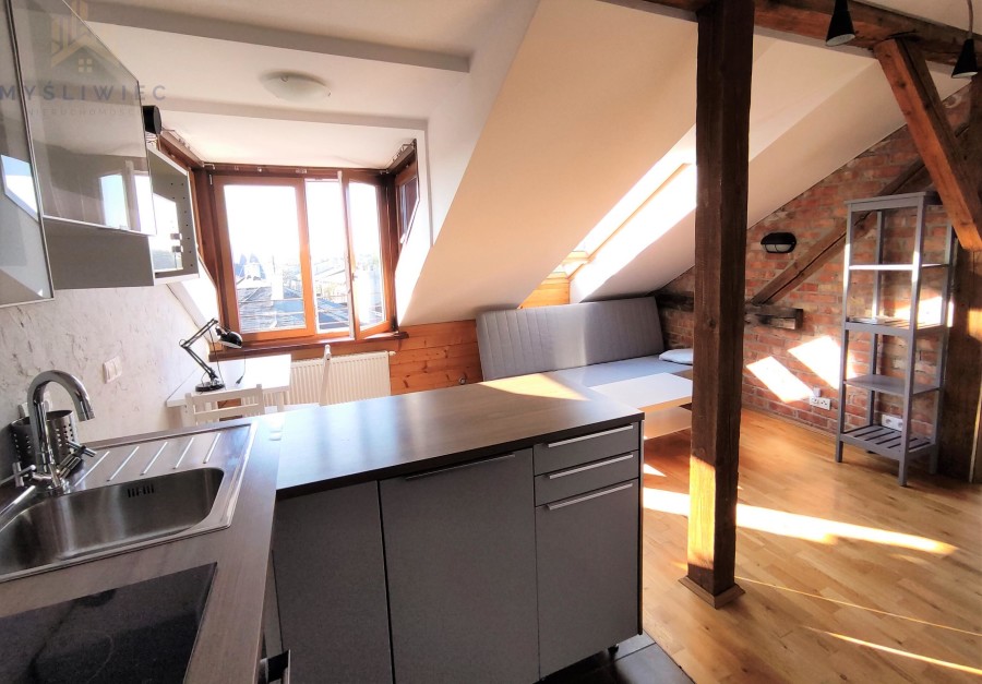 Kraków, Kraków-Śródmieście, Stare Miasto, Szlak, Dwupokojowy, dobrze wyposażony loft w centrum, klimatyzacja - Szlak